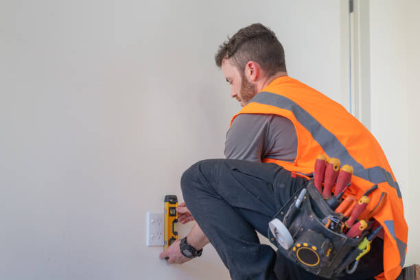 Best Electric Panel Repair  in Clawson, MI